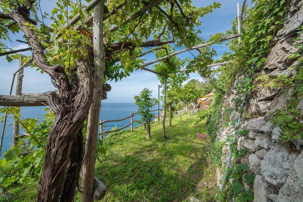 Cannaverde - Amalfi Coast Camp Villa Maiori Kültér fotó